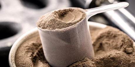 Where does the price increase in proteins stop?